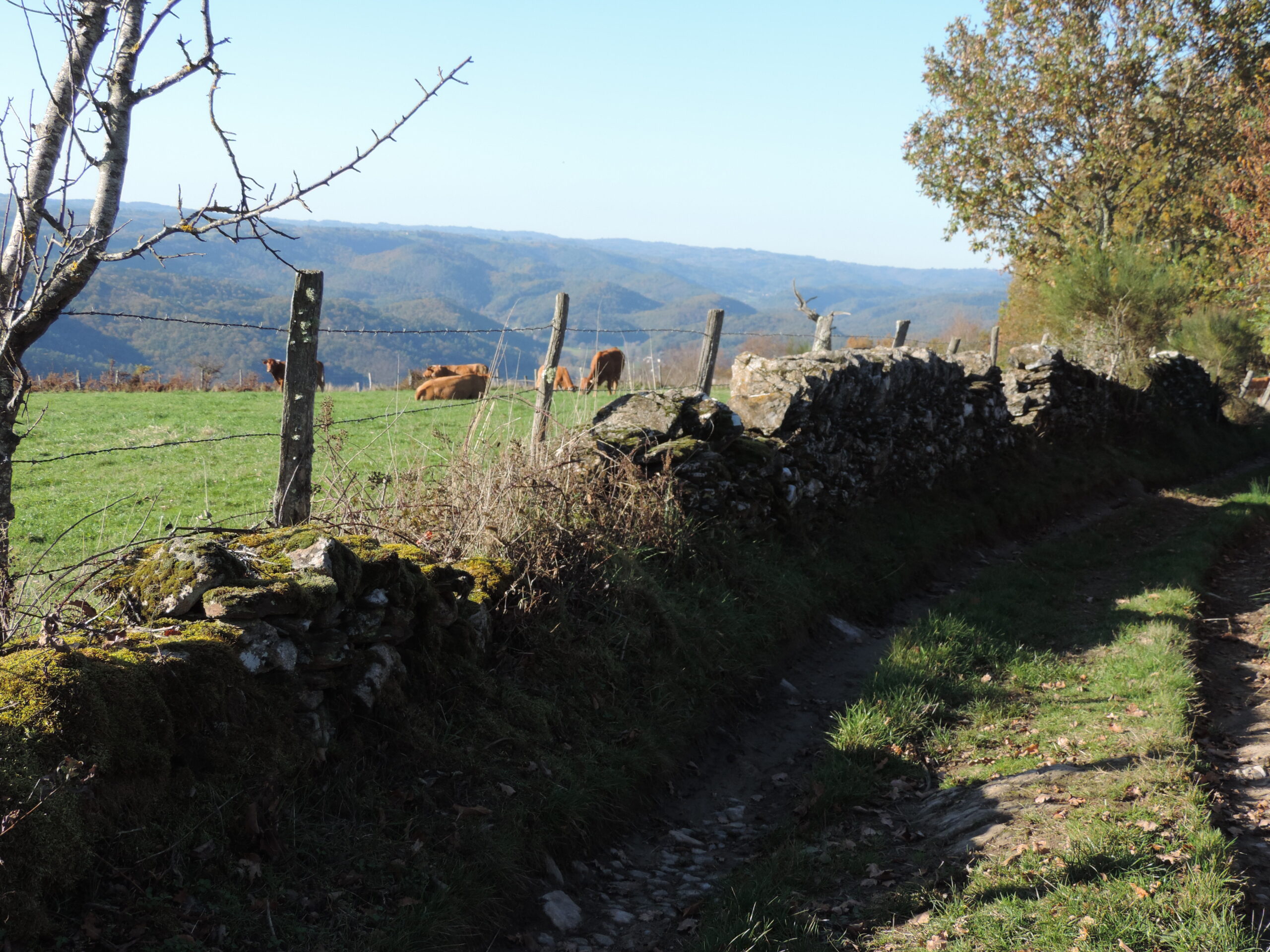 Les Moulinots Argentat-sur-Dordogne Nouvelle-Aquitaine