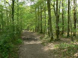 Le sentier du lac des Pescofis Sousceyrac-en-Quercy Occitanie