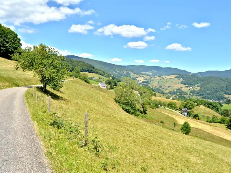 Circuit rando sur les hauteurs de Lapoutroie Lapoutroie Grand Est