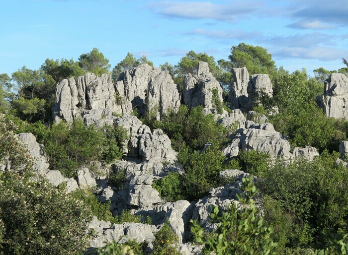 Exposition : « Histoire de la mer des Rochers à Sauve » Tour de Môle Sauve