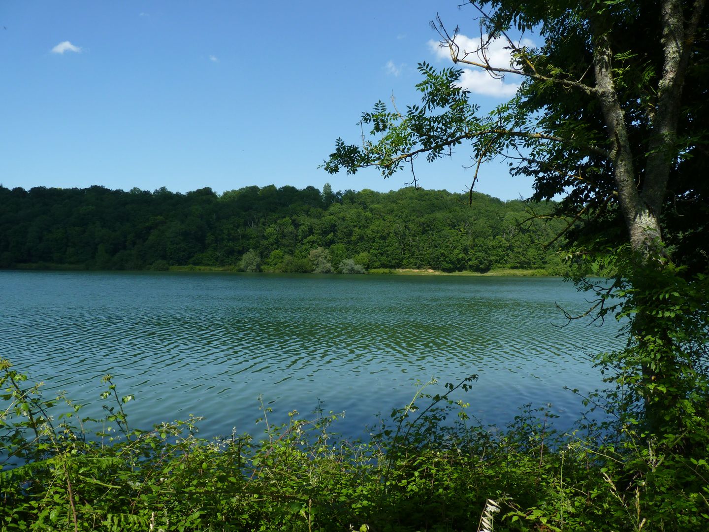 De Sauvagnon au lac du Balaing Sauvagnon Nouvelle-Aquitaine