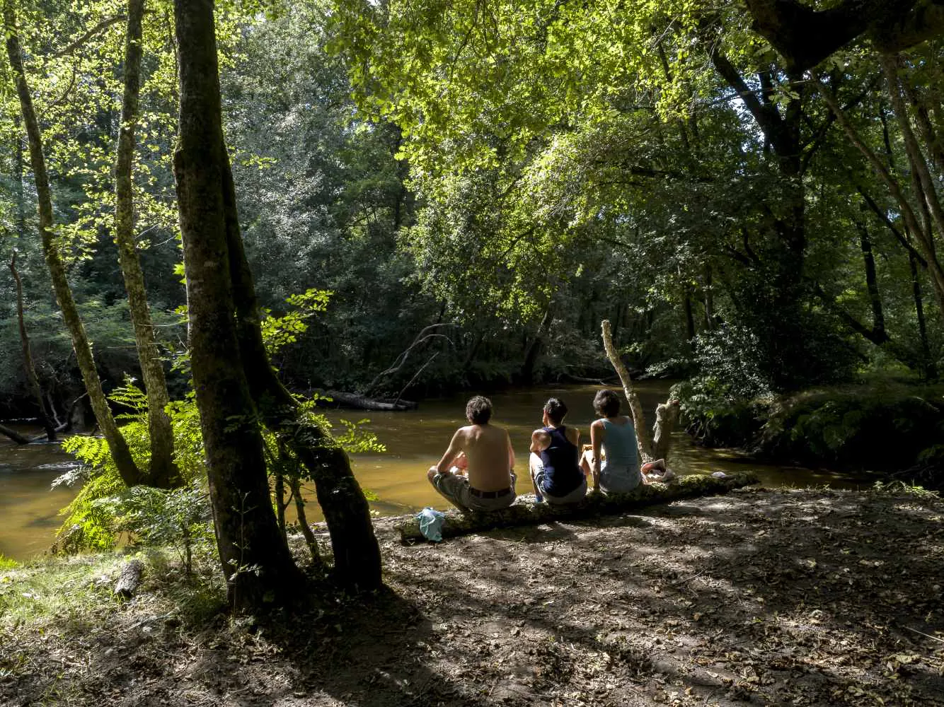 Salles balade nature rive droite de la Leyre Salles Nouvelle-Aquitaine