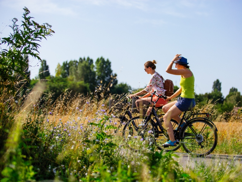 Piste cyclable Bazas Mios Bazas Nouvelle-Aquitaine