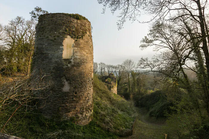 « Dire et comprendre une forteresse médiévale » Vestiges du Château de Penhoat Saint-Thégonnec Loc-Eguiner