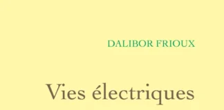 vies electriques dalibor frioux