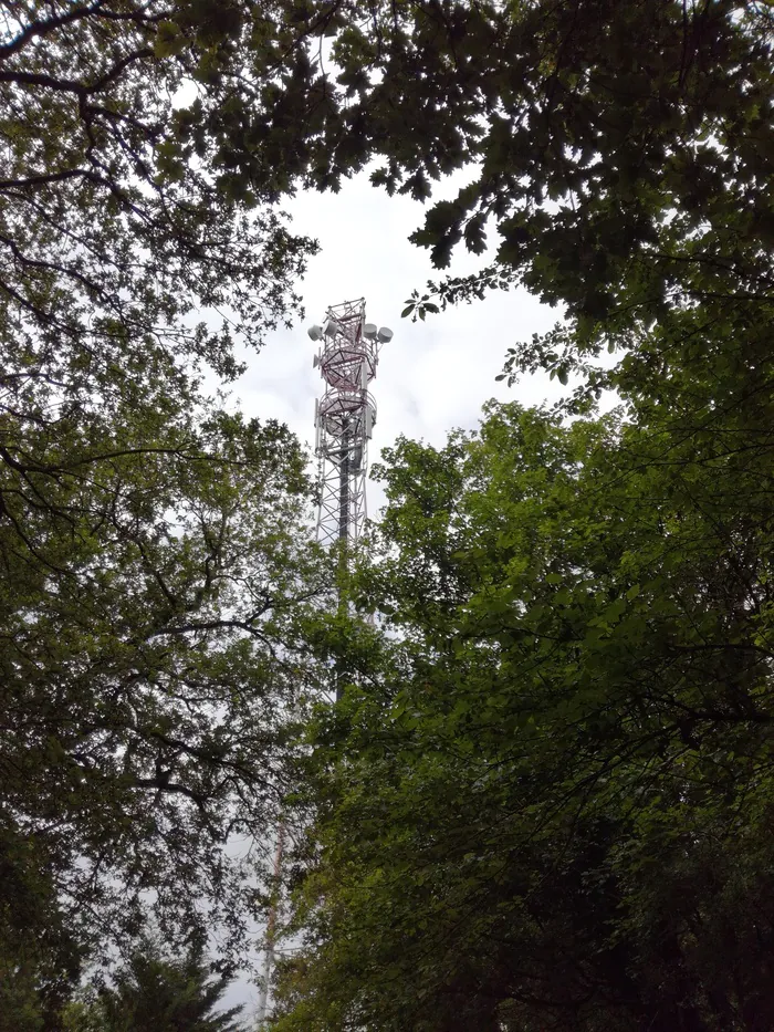 Circuit de la fontaine à l'antenne : à la découverte des voies de communication entre marais et forêt ! Village de la tublerie Vergeroux