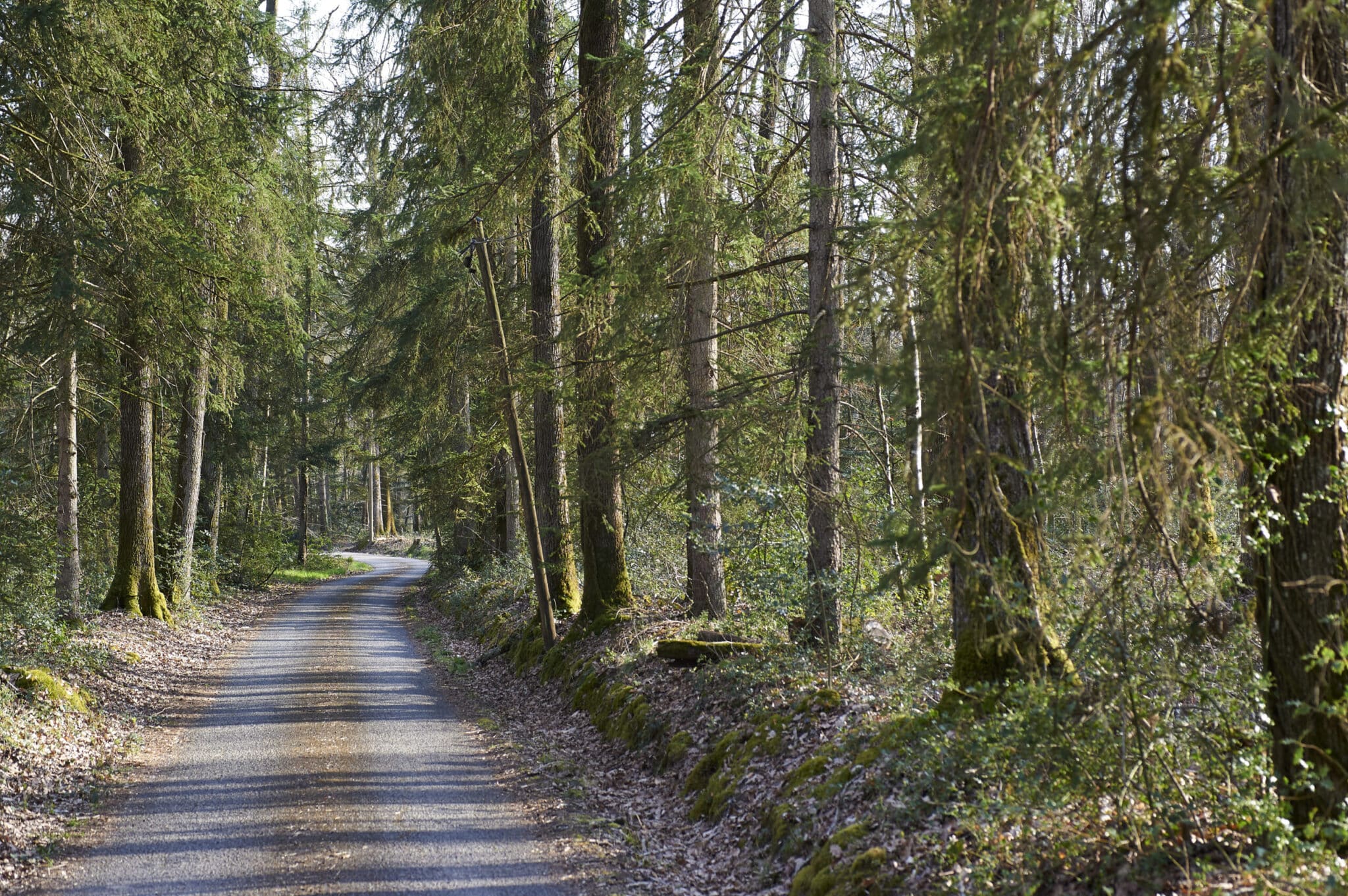 Randonnée à Villedômer Villedômer Centre-Val de Loire
