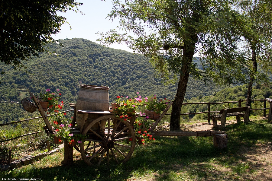 GR de Pays Lo Camin d'Olt Entraygues-sur-Truyère Occitanie