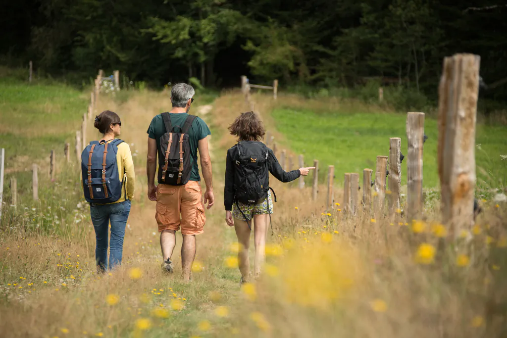 Entre les Brochs et Lacoste Saint-Mexant Nouvelle-Aquitaine