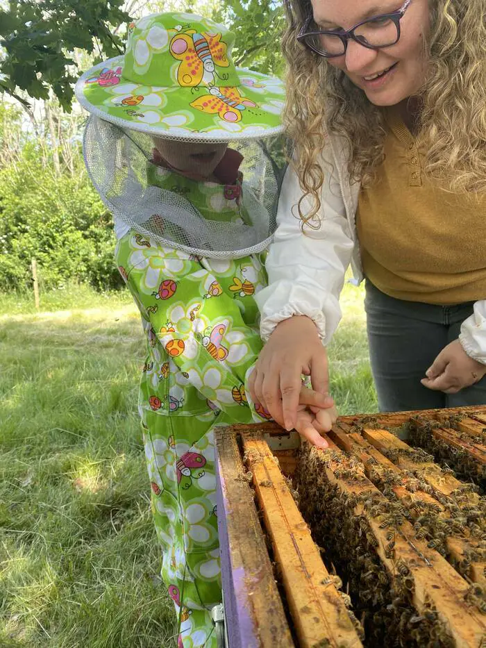 Mise en hivernage des abeilles Aux secrets des abeilles Rieux-Volvestre