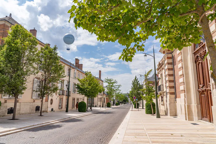 Visite d'une avenue emblématique de la région Avenue de Champagne Épernay