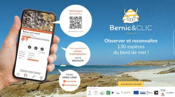 bernic clic app