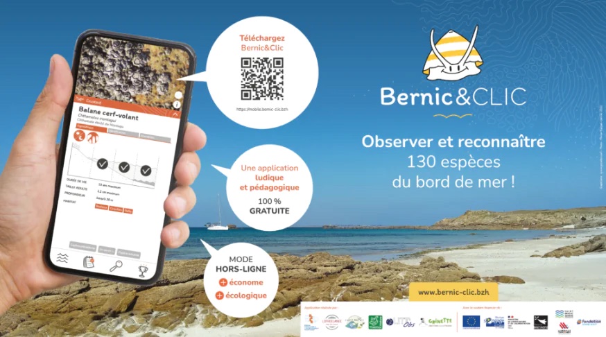 bernic clic app