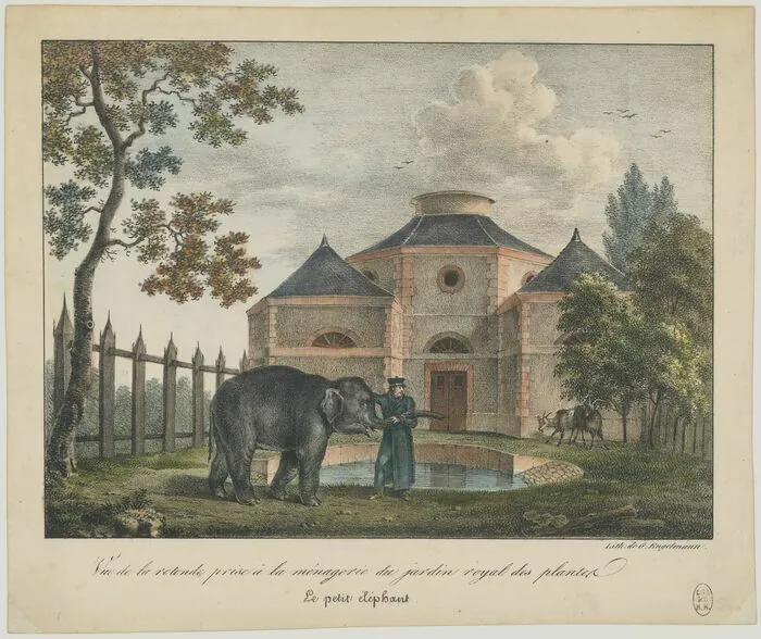 La Ménagerie