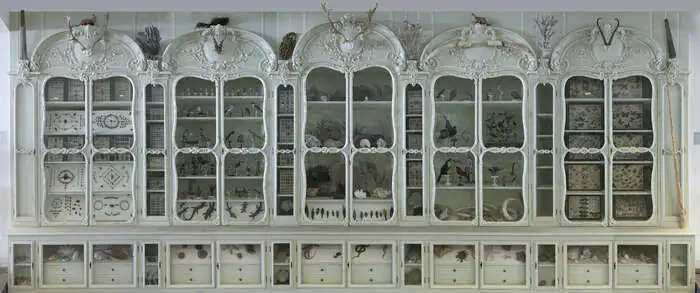 Atelier : le petit cabinet de curiosités Bibliothèque du Muséum national d'Histoire naturelle Paris