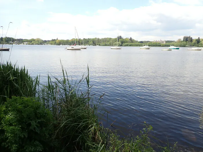 Marais de l'Erdre : visite de Gachet Cale de mise à l'eau Route de Gachet Nantes