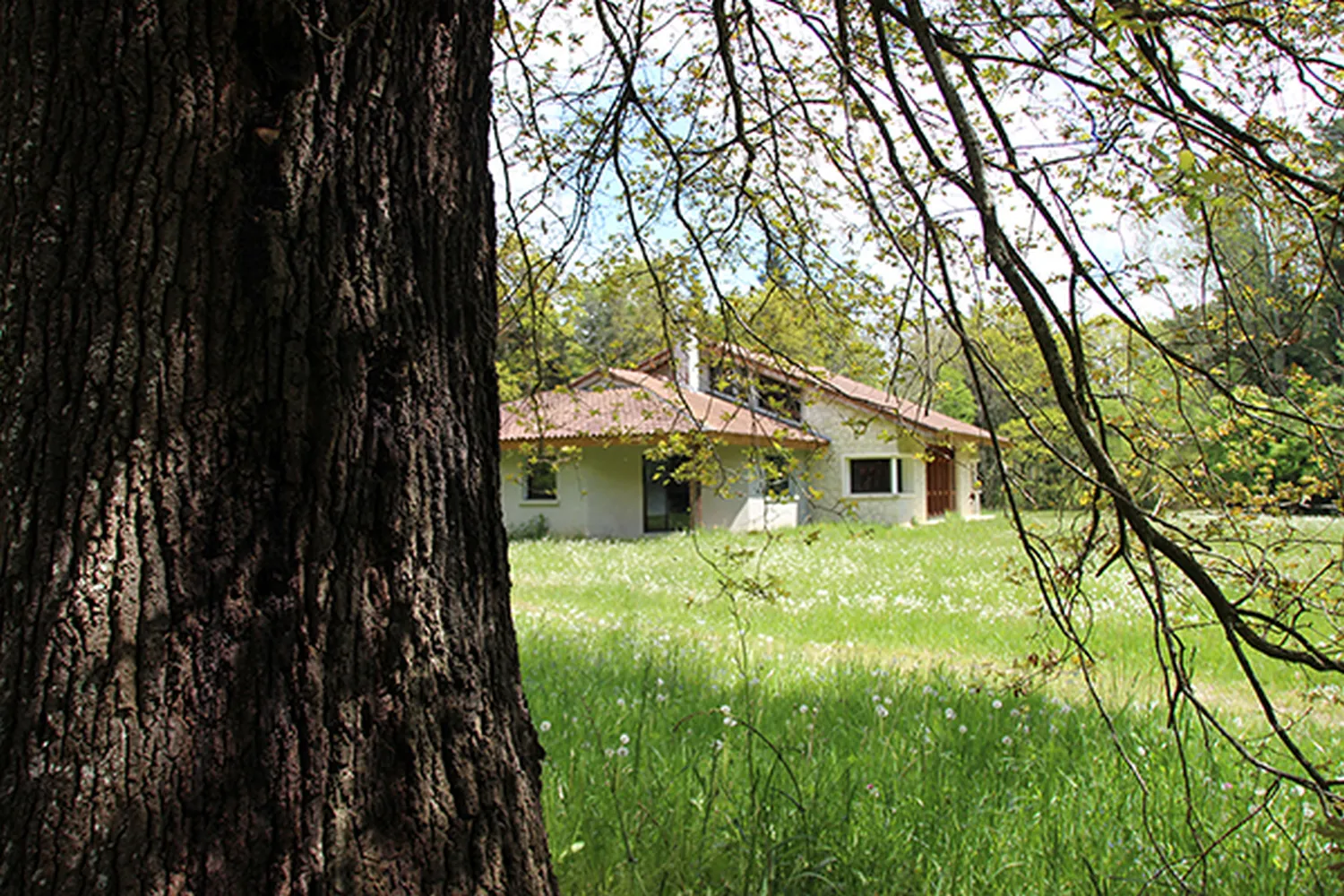 110 ANS DE L'ARBORETUM