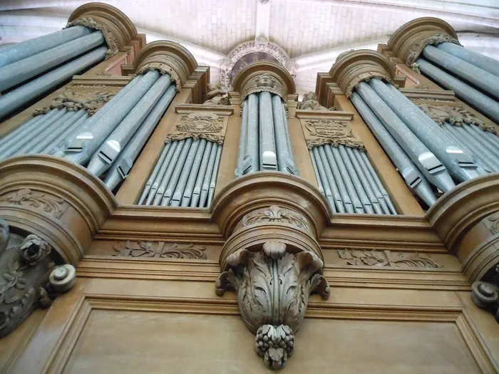 Visite guidée à Laon : "L’orgue de la cathédrale" Cathédrale Notre-Dame de Laon Laon