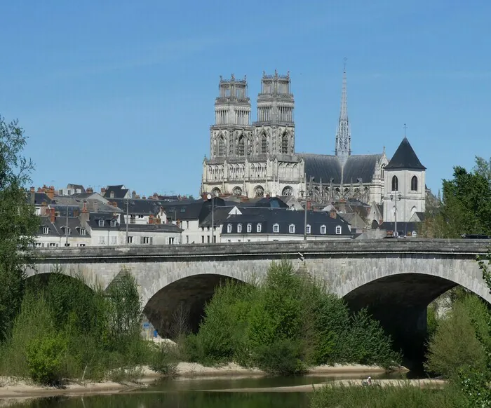 Visite guidée de la cathédrale par le diocèse Cathédrale Sainte-Croix Orléans