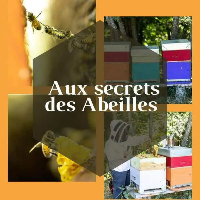 Les abeilles à l'école Centre de loisirs Tom Pouce Rieux-Volvestre