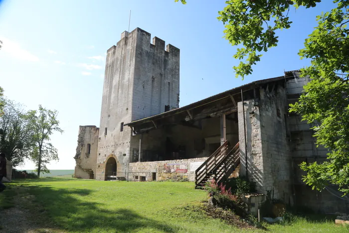 Participez aux visites guidées d'un site médiéval Château de Gombervaux Vaucouleurs