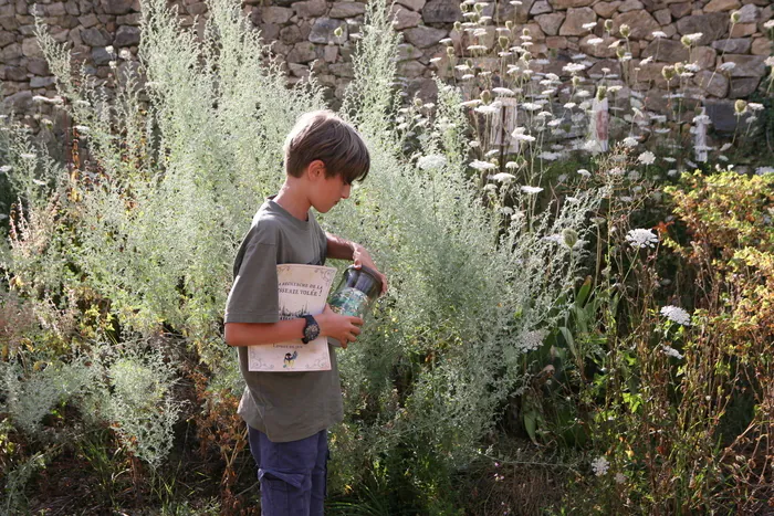 Jeux d'énigme sur la biodiversité et les bonnes pratiques au jardin. Jouez avec vos enfants ! Château de Losmonerie Aixe-sur-Vienne