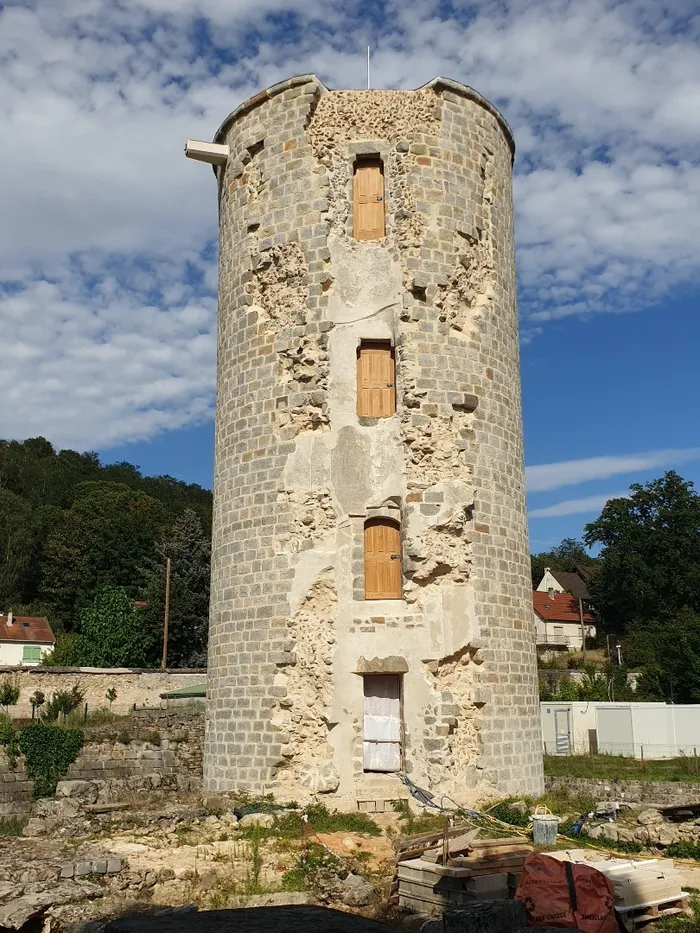 Visite du château de Montagu et des travaux de restauration de la tour Henri IV Château de Montagu Marcoussis