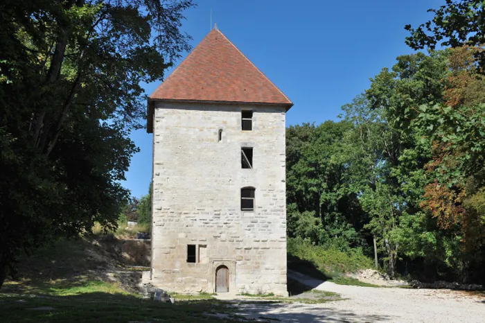 Visite guidée d'un château qui a traversé les siècles Château de Vignory Vignory