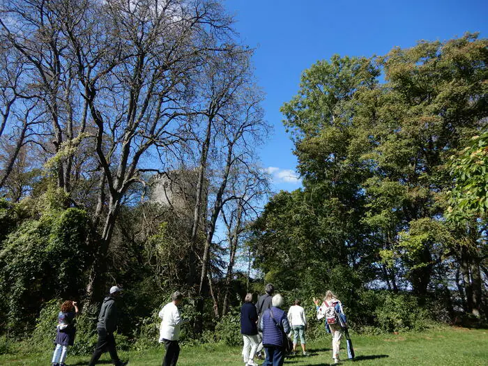 Visite commentée "Château au fil des pierres et de l'histoire. Les traces de la forteresse médiévale et évocation des récents travaux de restauration" Château et parc Vendôme