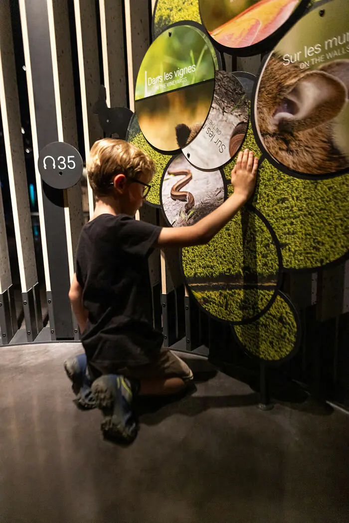 Découverte de la Cité des Climats et vins de Beaune grâce à un livret-jeux Cité des Climats et vins de Bourgogne Beaune