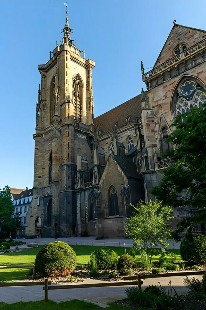 Découverte guidée d'une collégiale Collégiale Saint-Martin Colmar