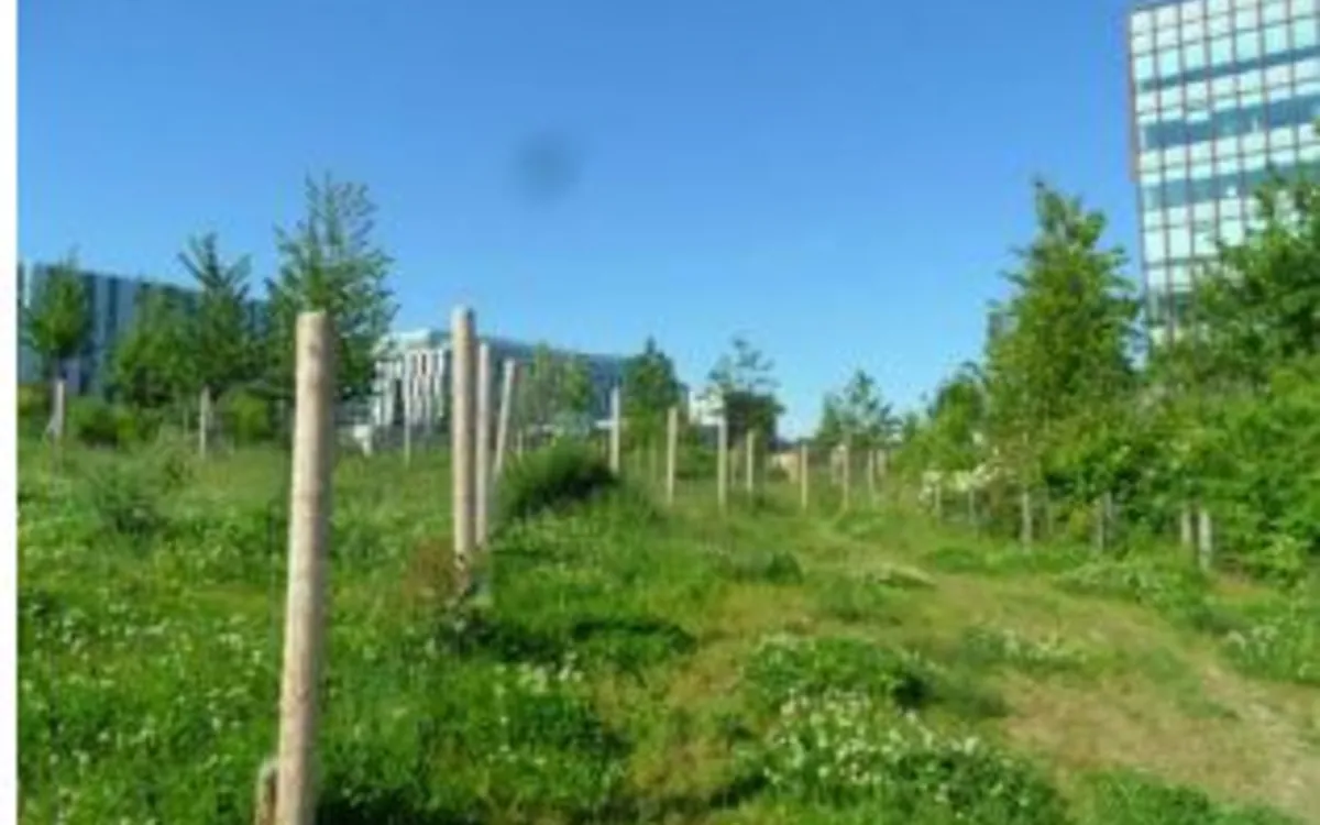 Conférence sur la gestion écologique des jardins de Paris à la bibliothèque Andrée Chedid Bibliothèque Andrée Chedid Paris