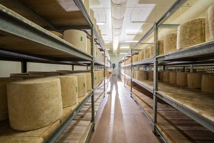 Découvrez la fabrication du cantal AOP au lait cru et du fromage Le Thérondels Coopérative fromagère de Thérondels Thérondels