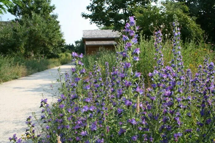 Parcours : Promenade dans le passé de la Coulée verte Coulée verte Colombes