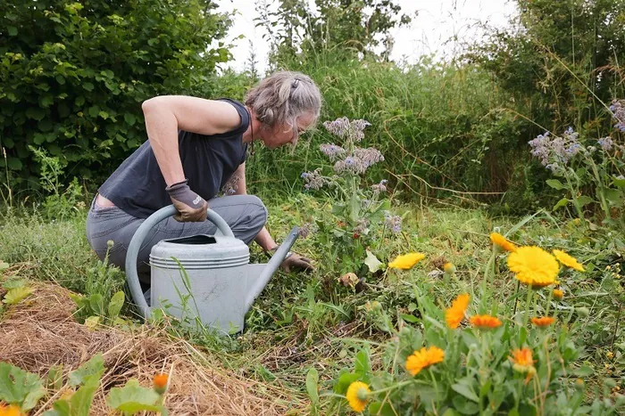 Créer le jardin du futur Dans le jardin d'un particulier Orgères