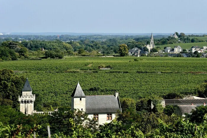 Visite guidée de Dampierre-sur-Loire Dampierre-sur-Loire Saumur