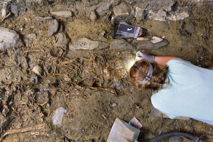 Dans les coulisses de l'archéologie funéraire Café des Champs Libres Rennes