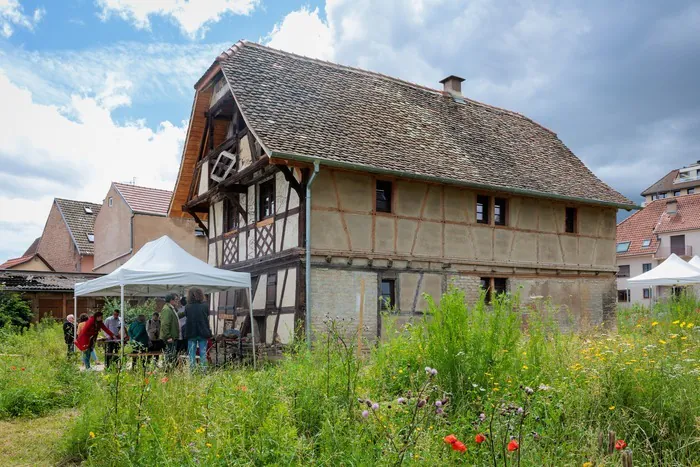 Venez vous promener dans le Verger du Dinghof Dinghof Schiltigheim