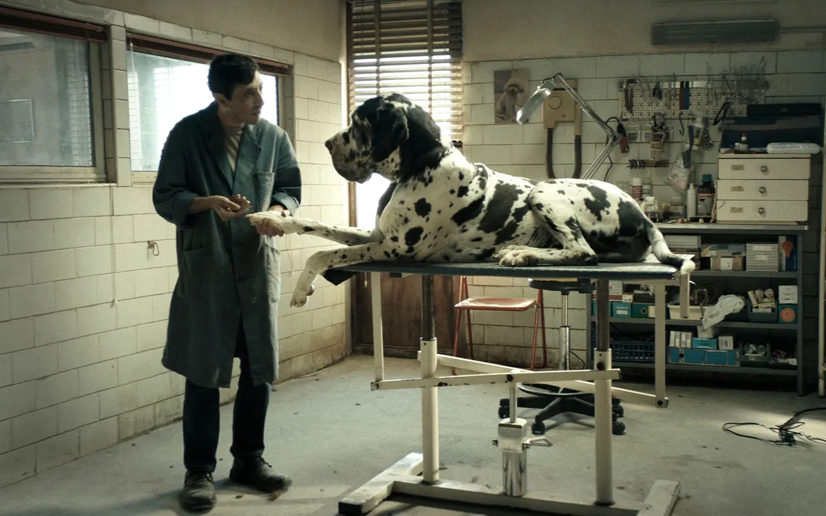 DOGMAN Matteo Garrone Le Carreau du Temple Paris