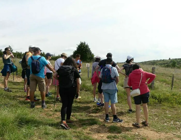 Exploration des clapas et dolines : randonnée immersive dans l'agropastoralisme du domaine de Boissets Domaine de Boissets Sainte-Enimie