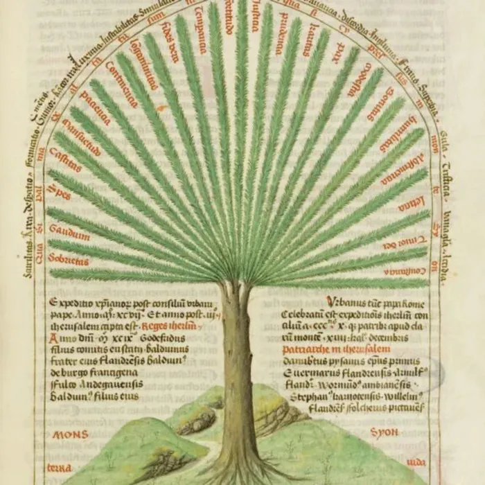 Exposition - In Foliis Folia: Arbres et Forêts. Du 1ᵉʳ juin au 30 septembre. Domaine de Chantilly Chantilly