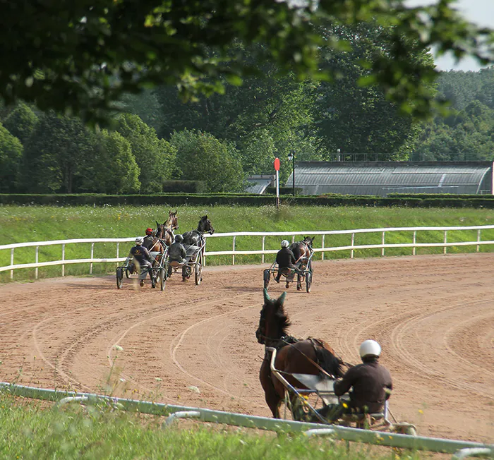 Visite guidée centre d'entraînement hippique Domaine de Grosbois Marolles-en-Brie