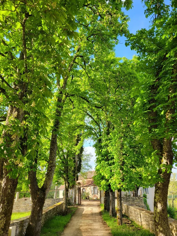 Visite guidée des jardins et de l'atelier du peintre post-impressionniste Henri Martin au domaine de Marquayrol Domaine de Marquayrol Labastide-du-Vert