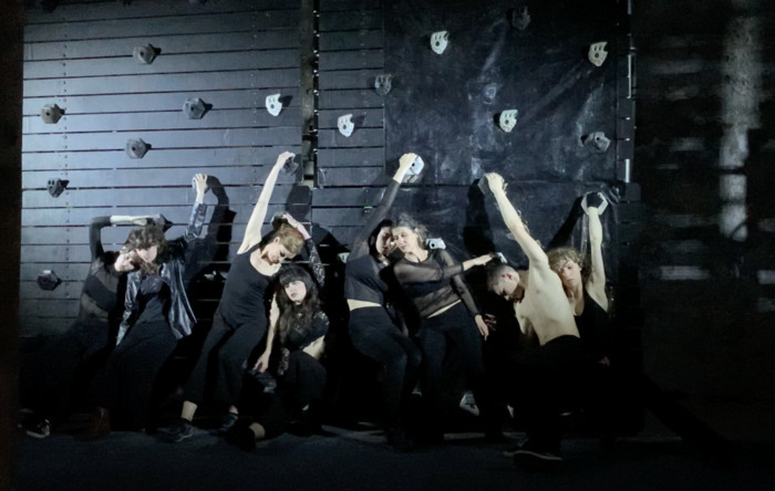 Performances de danse verticale : MurMur