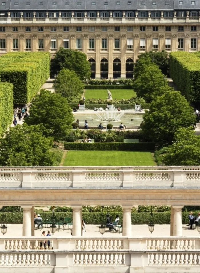 Les chats du Cardinal de Richelieu Domaine national du Palais-Royal Paris