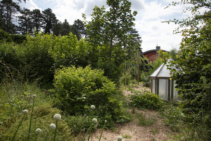 Visite de l'école d'art de Belfort et de ses jardins suspendus École d'art de Belfort Belfort