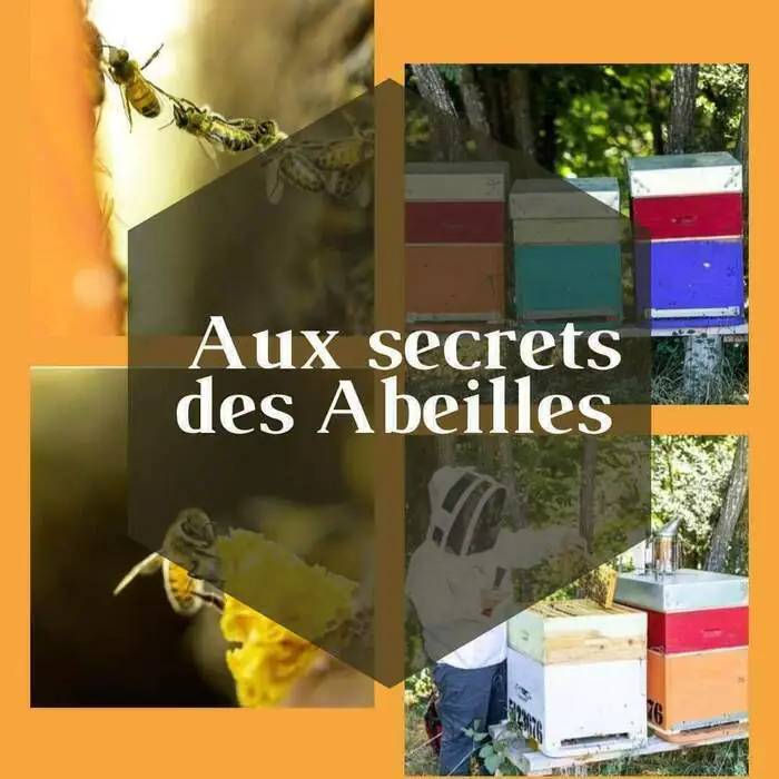 Les abeilles à l'école Ecole maternelle et primaire de Lavelanet-de-Comminges Lavelanet-de-Comminges