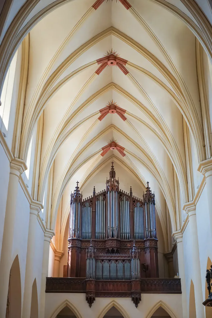 Visite guidée de l'orgue d'une abbatiale Église abbatiale Saint-Pierre Remiremont