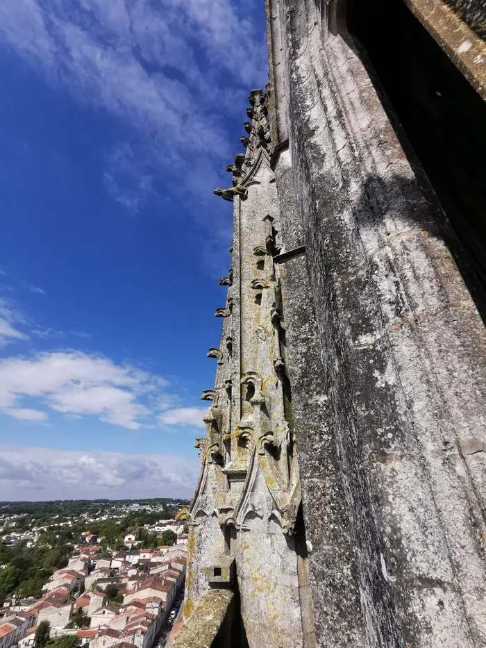 Montée au clocher Saint-Eutrope Église Saint-Eutrope Saintes