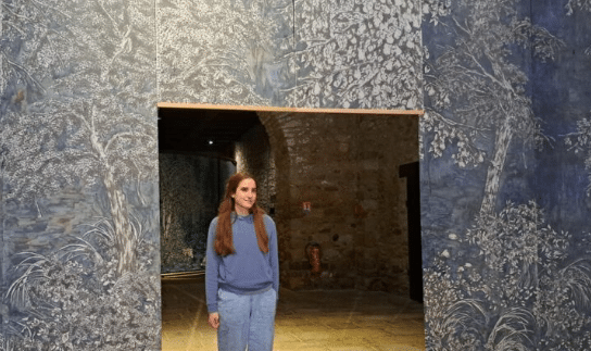 expositon salome fauc